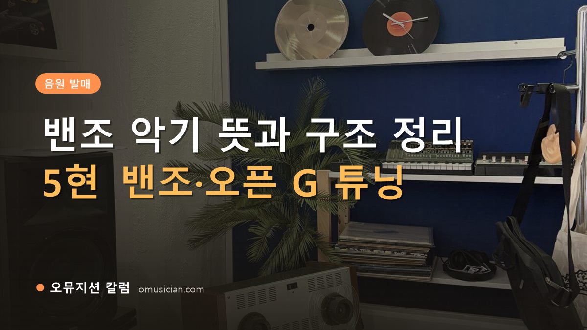 밴조 - 밴조 악기 뜻과 구조 정리 (오뮤지션 스튜디오 장비 선반과 턴테이블)