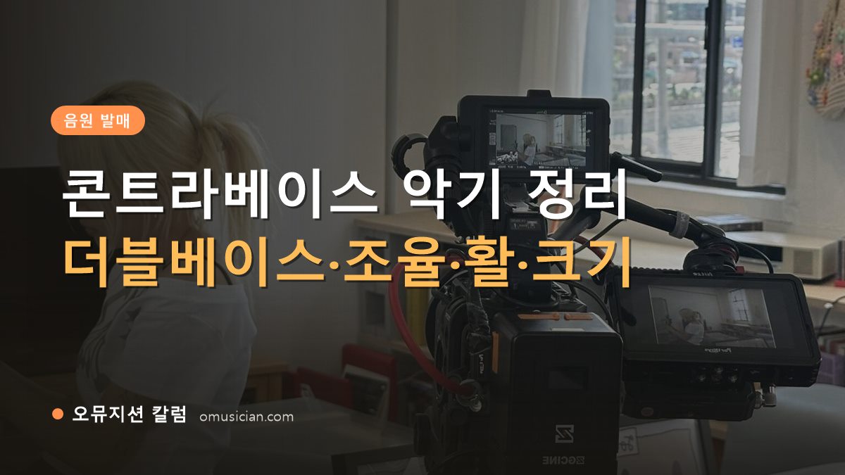 콘트라베이스 악기 - 콘트라베이스 악기 정리 (오뮤지션 카메라 촬영 현장)