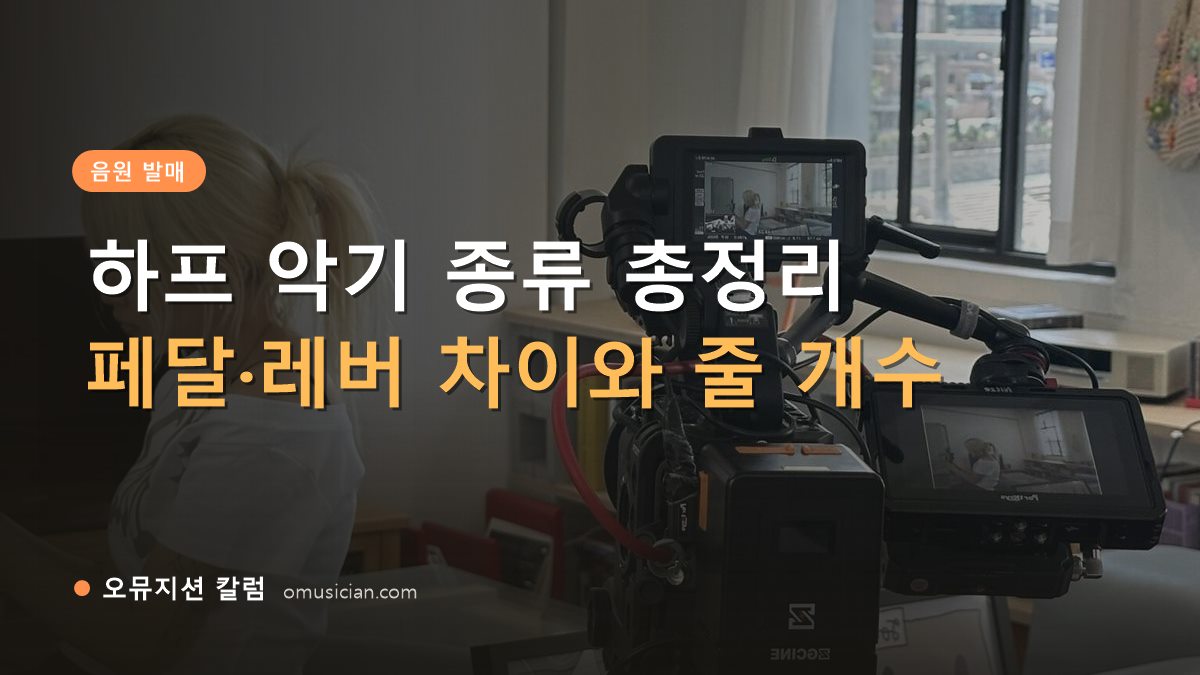 하프 악기 종류 - 하프 악기 종류 총정리 (오뮤지션 카메라 촬영 현장)