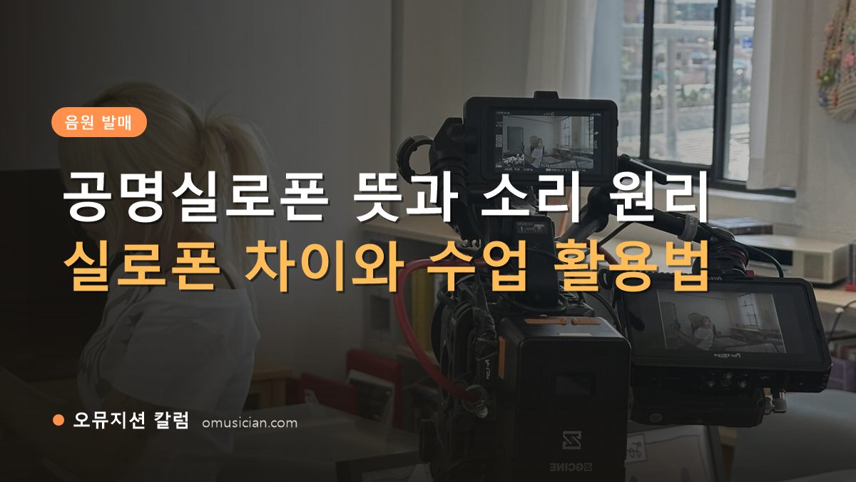 공명실로폰 - 공명실로폰 뜻과 소리 원리 (오뮤지션 카메라 촬영 현장 장면)